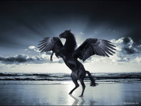 Block Dodger - Pegasus