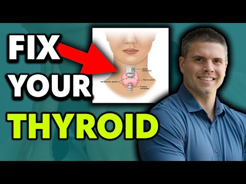 If Your THYROID Isn't At 100% YOU Are Not At 100% (Symptoms, Hypothyroidism, Testing & More)
