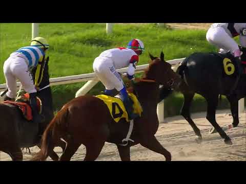 230513 c02 - SCINDERELA - HIPODROMO DE MARONAS
