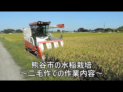 熊谷市の水稲栽培～二毛作での作業内容～
