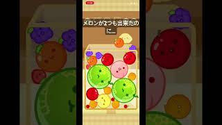 メロンが2つも出来たのに…