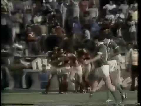 Zico Arthur (Flamengo) - 23/10/1988 - Guarani 1x5 Flamengo - 1 gol