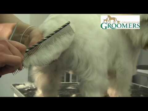 11. Trimming the tail.mov