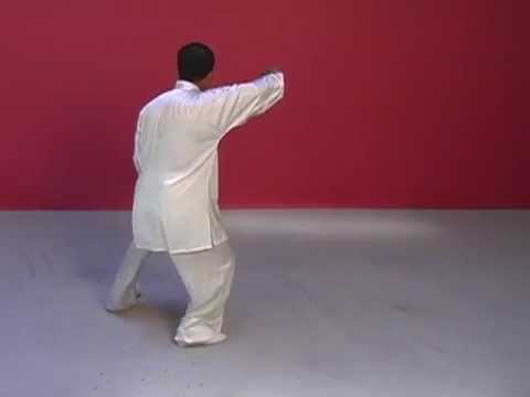 Ren Guang Yi - Chen Style Taiji - 21 FORM - front&back views