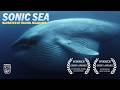 Sonic Sea L Narrated By Rachel McAdams
