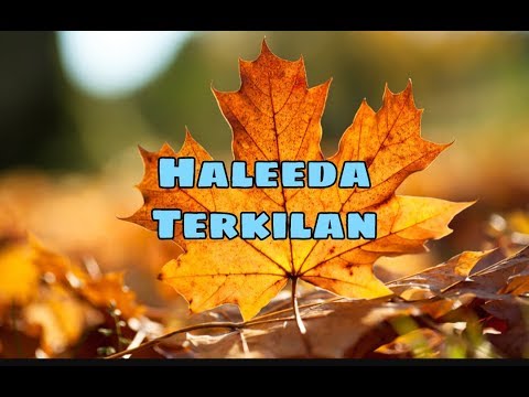 Haleeda - Terkilan