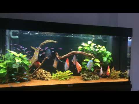 Watch Video on YouTube