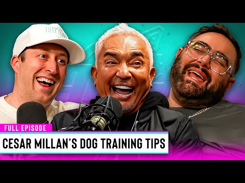Cesar Millan Shares The Secret To Picking The Perfect Dog | Out & About Ep. 267
