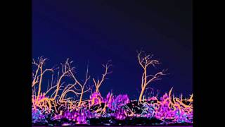 Heed The Flashes - &quot;Backnbloom&quot; 2015