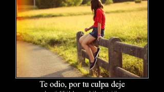 LLEVATELA PERO LEJOS    LA ORIGINAL BANDA EL LIMON