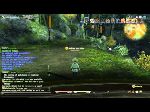 Let's Play Final Fantasy XIV [116] Journey to Camp Emerald Moss