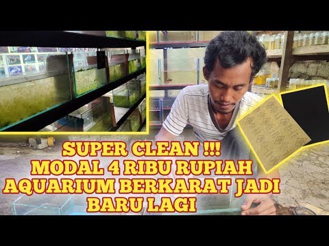 SUPER CLEAN !!! MODAL 4 RIBU RUPIAH AQUARIUM BERKARAT JADI BARU LAGI