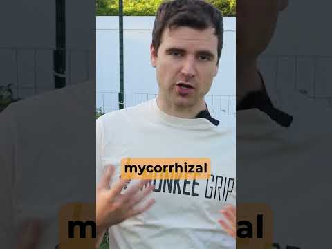Which Plants Donβt Need Mycorrhizal Fungi?