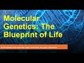 Molecular Genetics The Blueprint Of Life UGC NET Anthropology