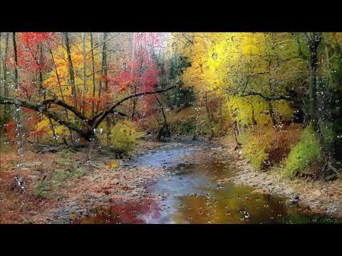 Rain and Native American Flute 2   Shamanic Dream