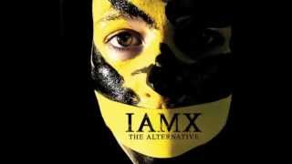 IAMX - Bring Me Back A Dog (Instrumental)