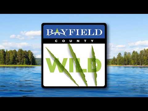 Episode 24: Local Fare and the Bayfield County Fair