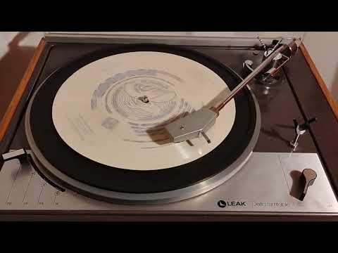 Marathon Dance Orchestra - "They All Stare At My Girl" (1928)