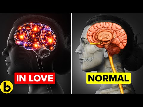 YouTube video about: Why did the candle fall in love?