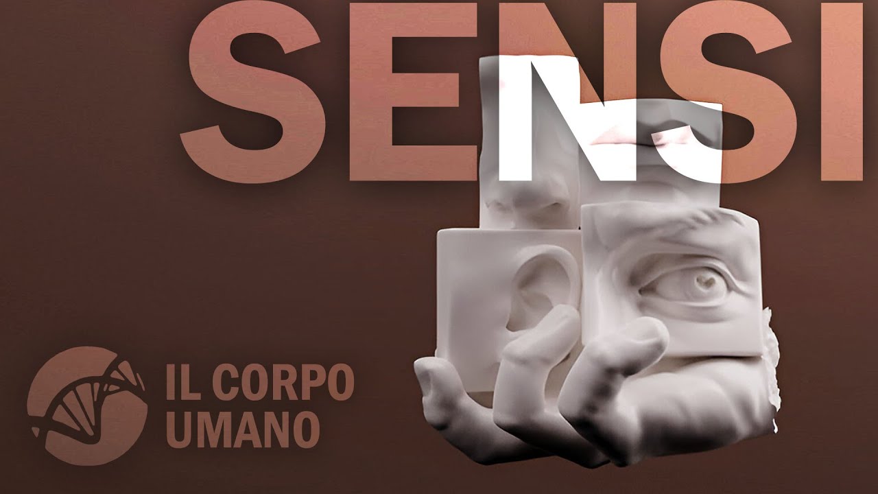 Sensi e organi di senso - Introduzione | Il Corpo Umano