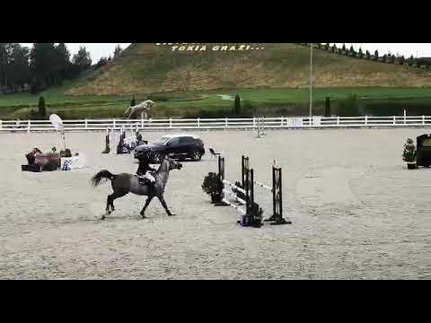 Antenor (Emir R x Quidam de Revel) 2020/08/01 Vazgaikiemis - RMK 4 l - 100 cm I SPRZEDANY / SOLD