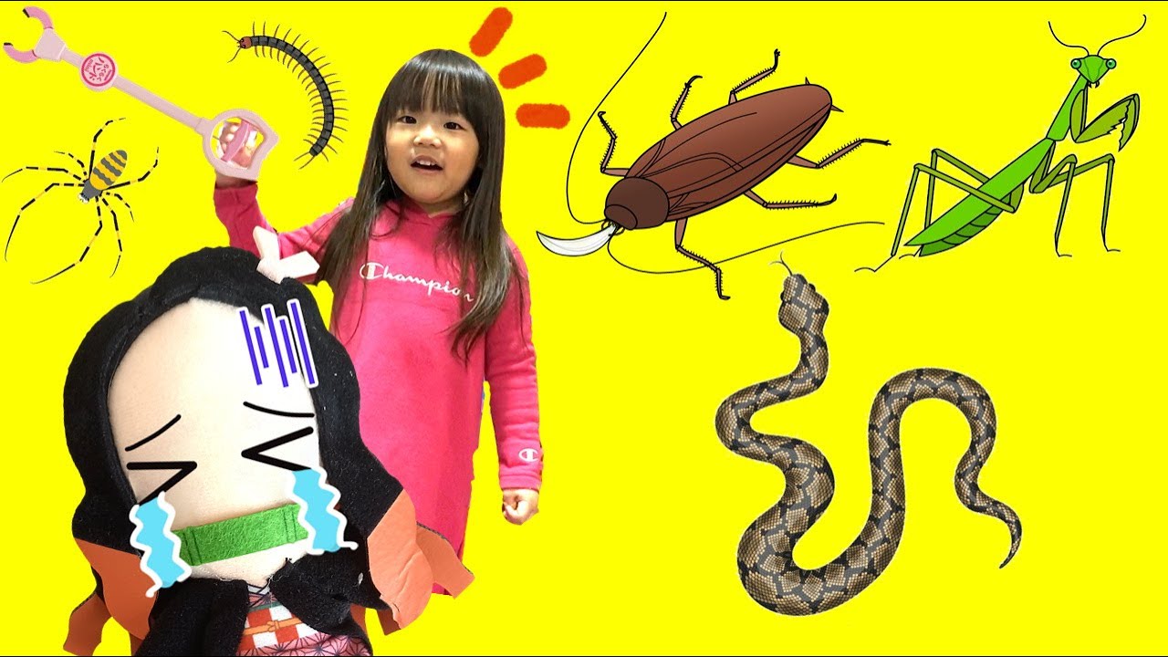 【寸劇】禰豆子を助けて！お部屋に虫がいっぱい！ほのちゃん虫を捕まえてー！　鬼滅の刃ごっこ　ゲーム　虫捕り　４歳