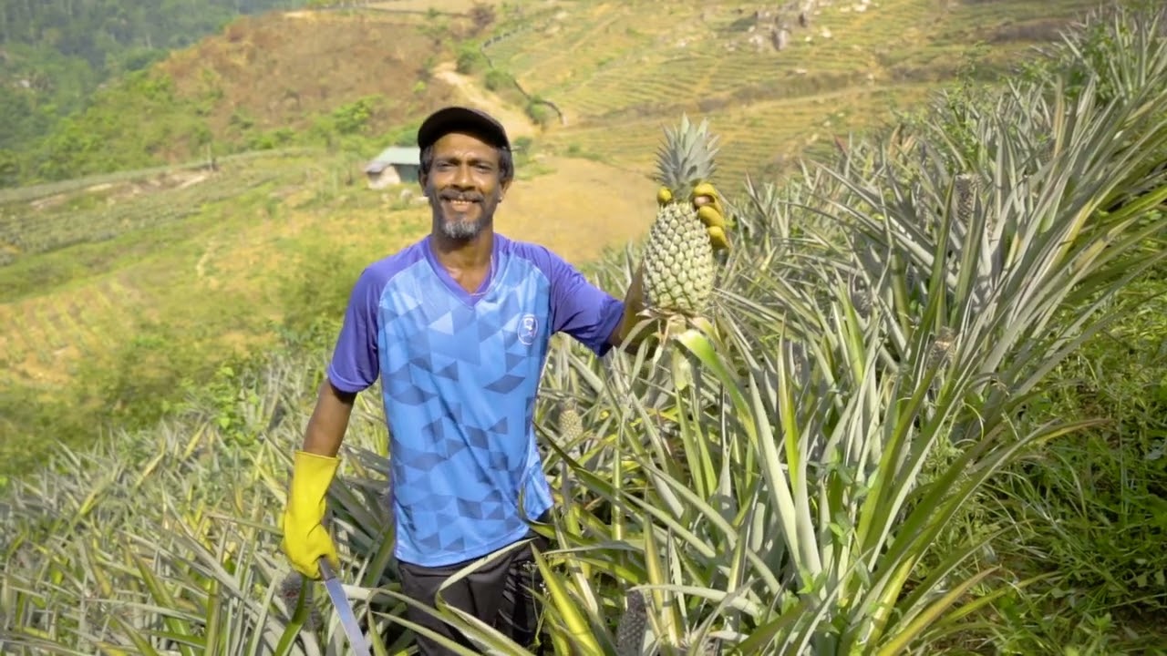 Sadaharitha | Company Profile