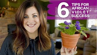 🌺6 Tips For Caring for African Violets!🌺