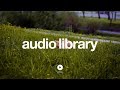 I Knew A Guy Kevin MacLeod No Copyright Music