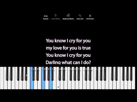 Shy Rose - I Cry For You piano cover