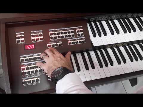 CASA DA ORGANISTA | Apresentação do Tokai D2 Classic