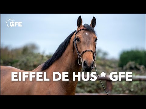 Eiffel de Hus - 2020