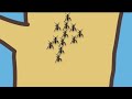 Sesame Street The Bugs Song Extended Version