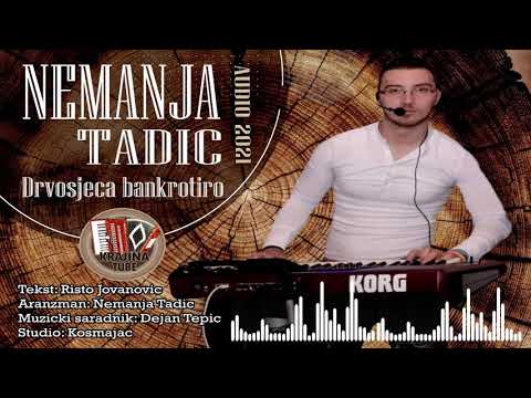 Nemanja Tadić - Drvosječa bankrotiro (Audio 2021)