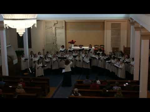 Vox Novus - Hlboký jarčok (M. Dvořáková)