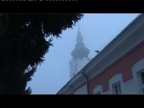 PROGNANI PETROVČANI - 3.dio dokumentarnog filma PETROVCI to smo I MI.