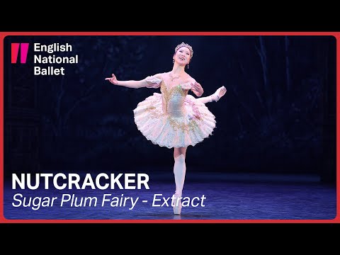 Nutcracker: Sugar Plum Fairy (extract) | English National Ballet