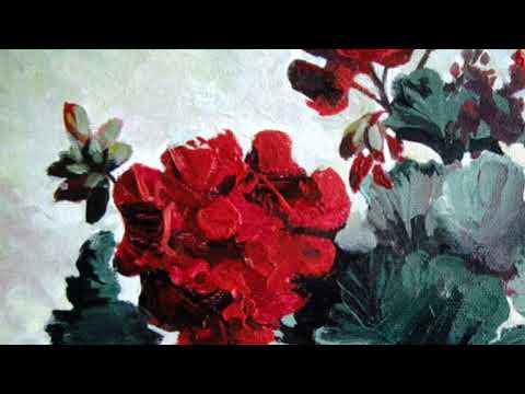 GERALDO NIGGARINI - DETERMINATION 1