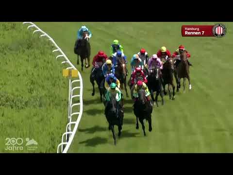 Meiler-Auktionsrennen - Auktionsrennen