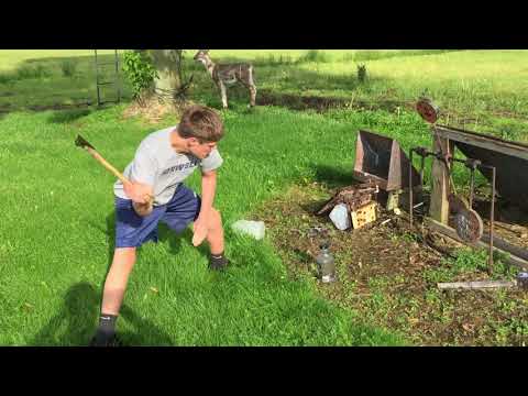 PPW #2 English Final