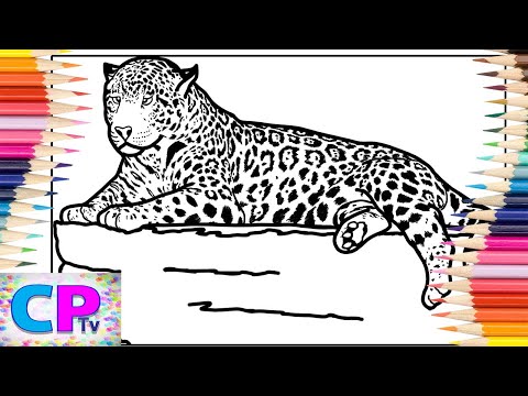Leopard Coloring Pages/Wild Animals Coloring/Diviners - Savannah (feat. Philly K) [NCS Release]
