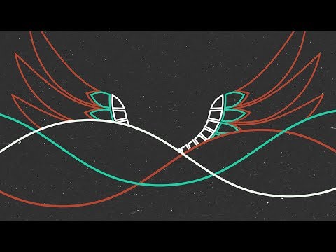 Ninetoes - Volar La Pluma