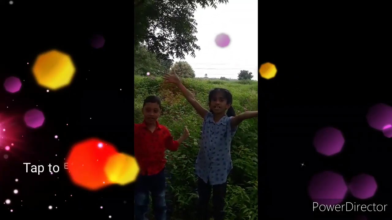 Trees and plants at our village