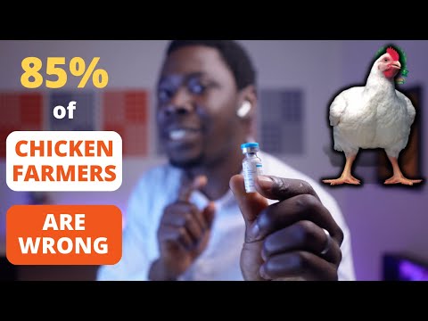 Poultry Vaccination: Avoiding Common Errors
