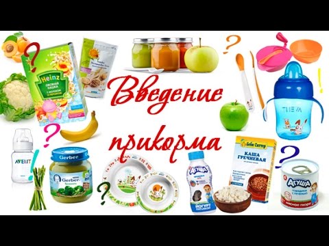 Die Behandlung der Anbrüche auf den Fersen beim Ekzem Wie das Ekzem zwischen den Fingern zu heilen