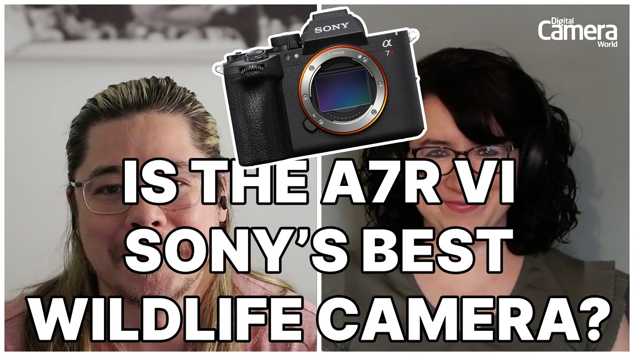 Is the A7R VI now Sony's best sports and wildlife camera!? | DCW News Podcast - YouTube