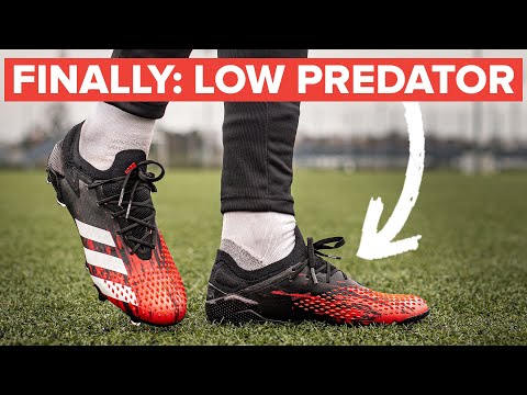 The LOW CUT Predator 20.1 is amazing - here’s why
