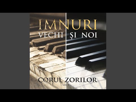 Cuprins am fost de uimire