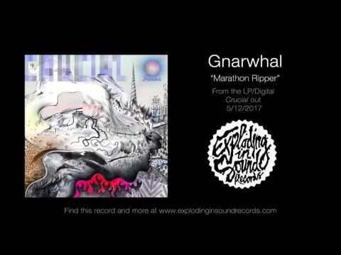 Gnarwhal - 
