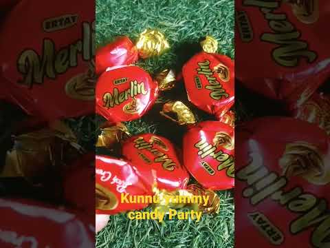 Ertay Merlin Chocolate